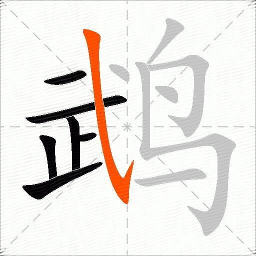 鹉