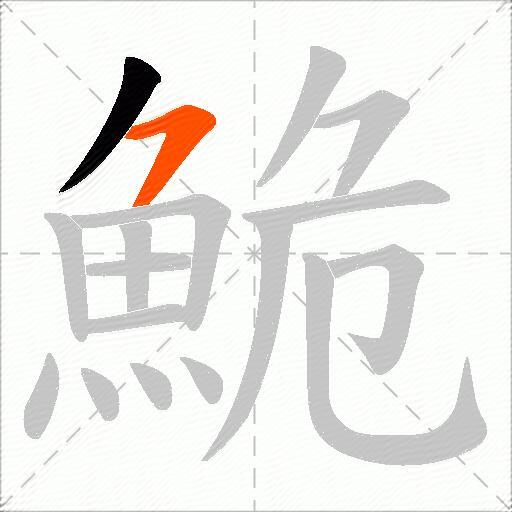 鮠