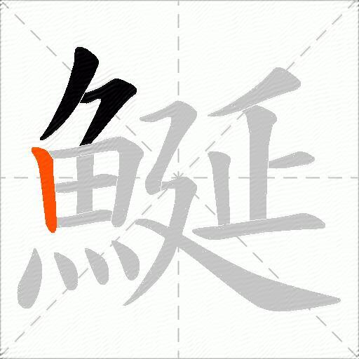 鯅