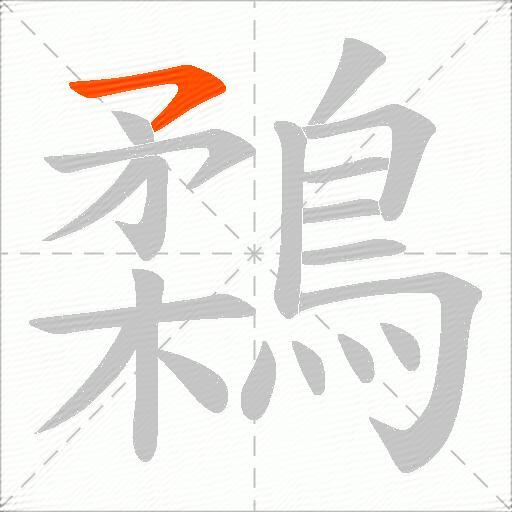 鶔