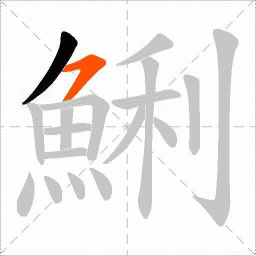 鯏