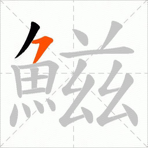 鰦