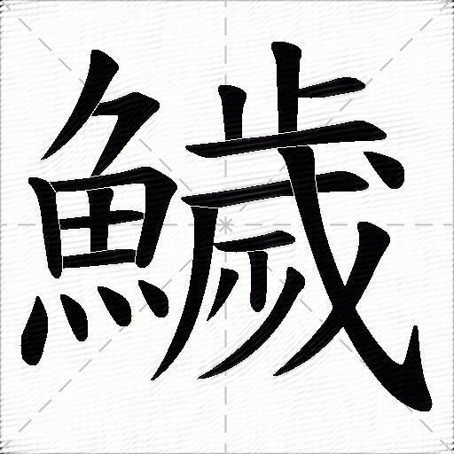 鱥