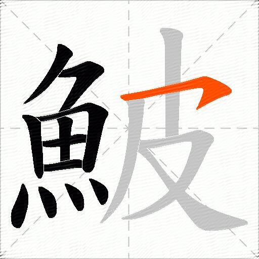 鮍