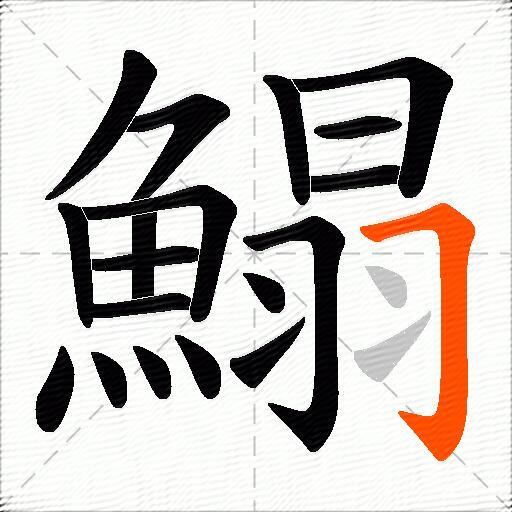 鰨