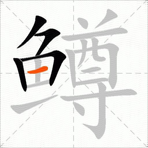 鳟