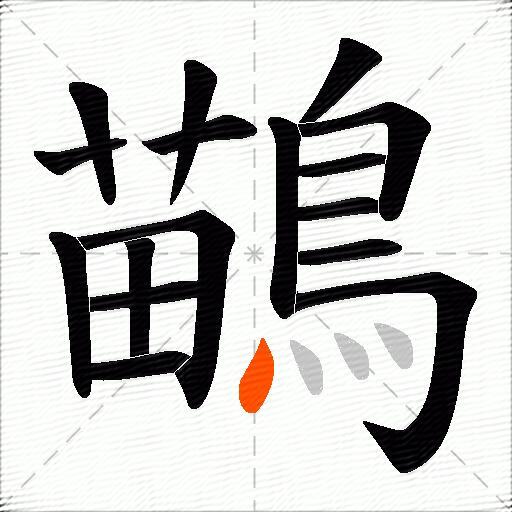 鶓