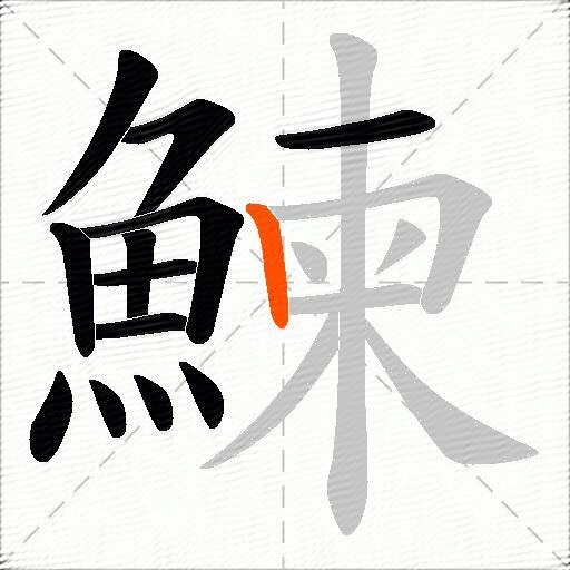 鰊