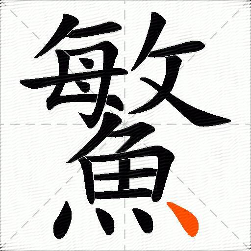 鰵
