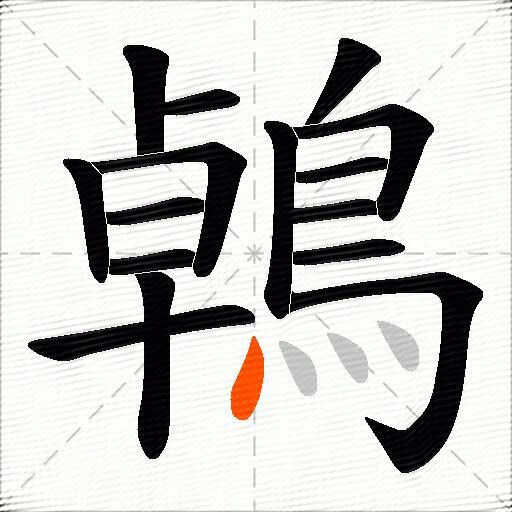 鵫