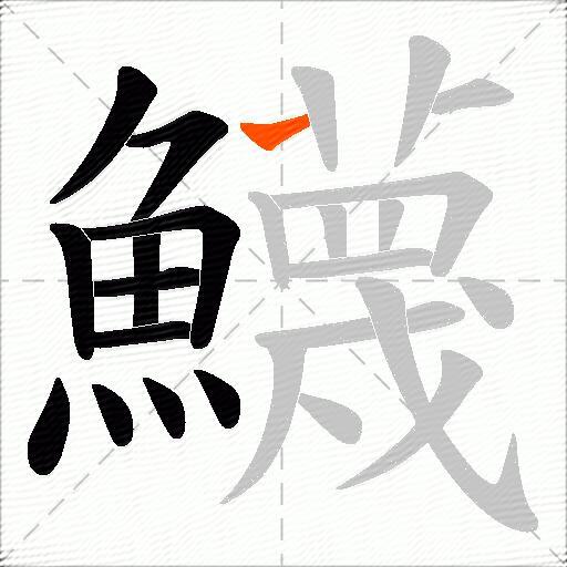 鱴