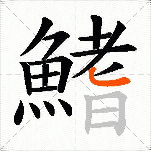 鰭