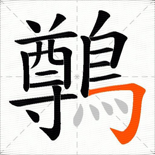 鷷