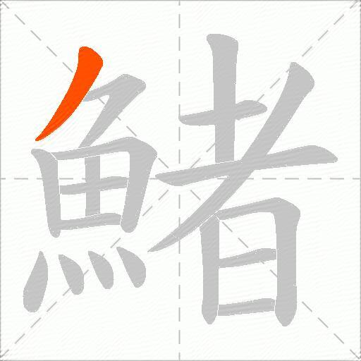 鯺