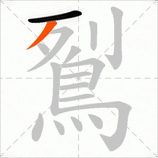 鴷