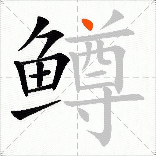 鳟