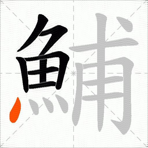 鯆