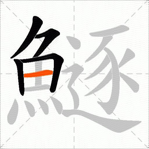 鱁