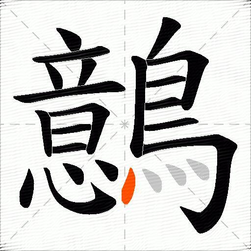 鷾