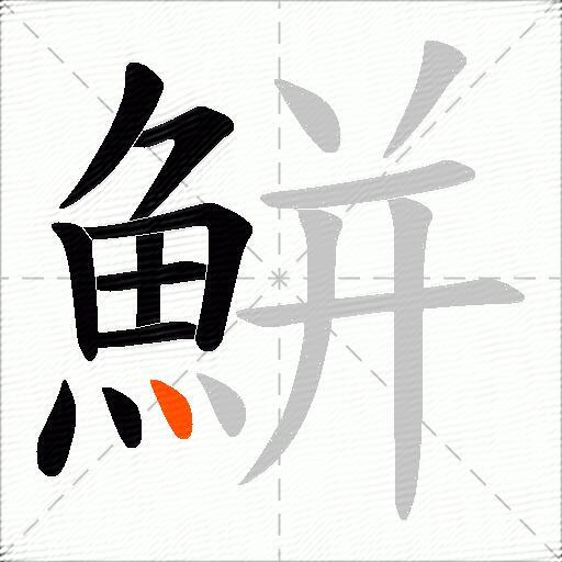 鮩