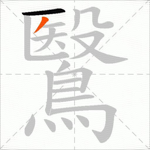 鷖