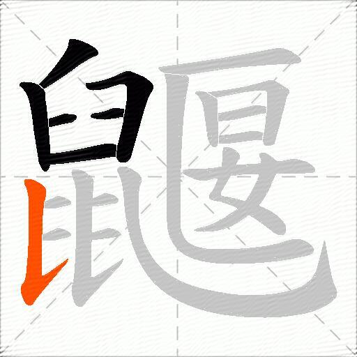 鼴
