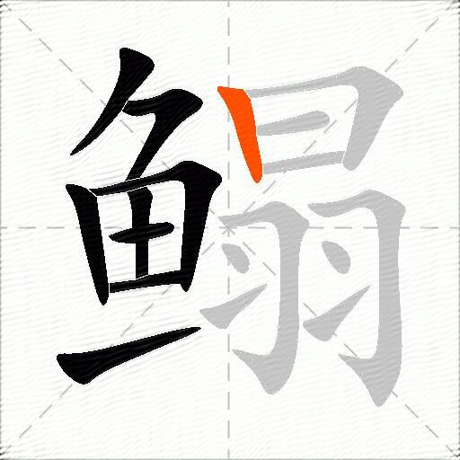 鳎