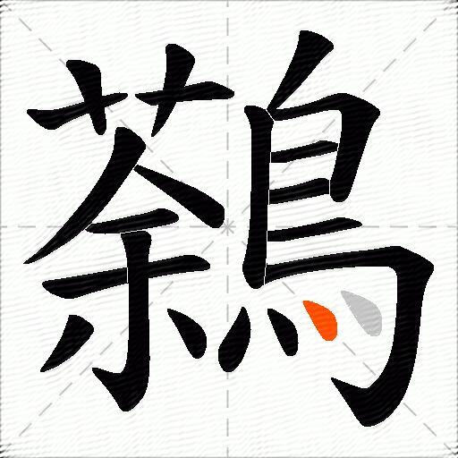 鷋