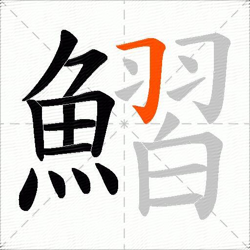 鰼