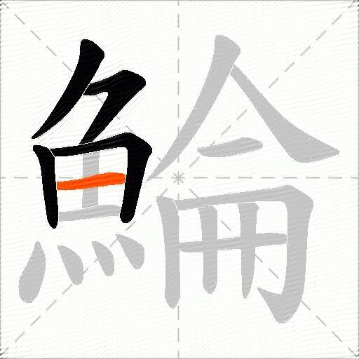 鯩