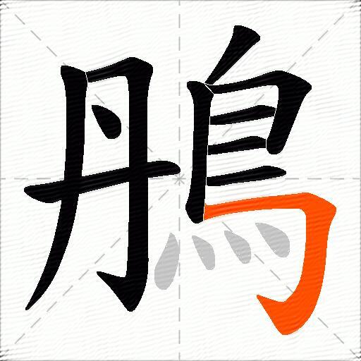 鴅