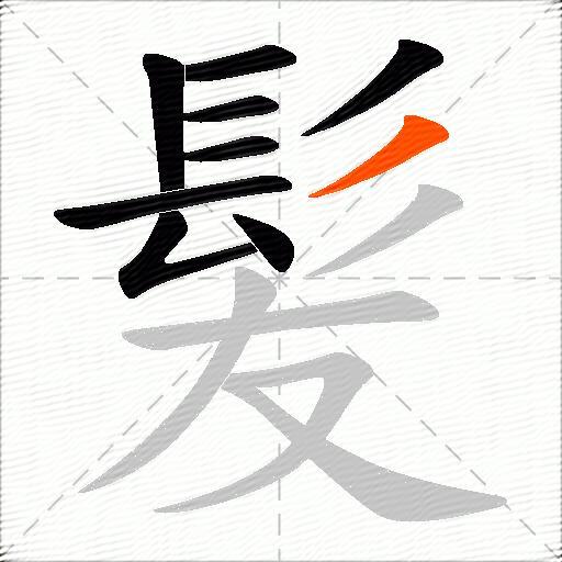 髪