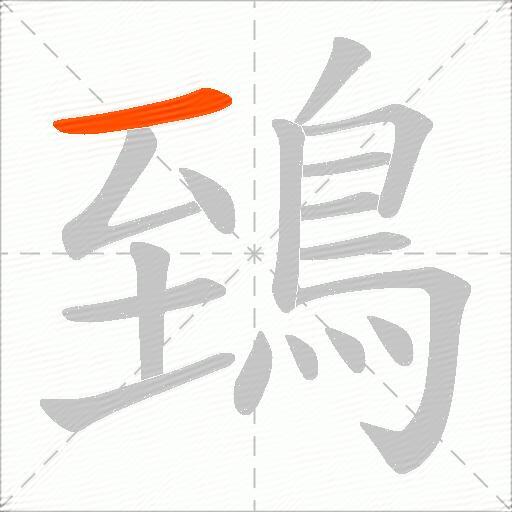 鵄