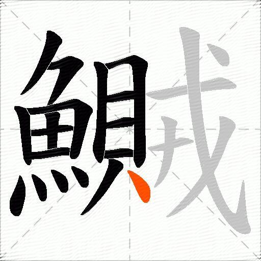 鱡