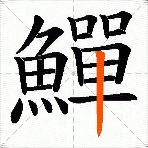 鱓