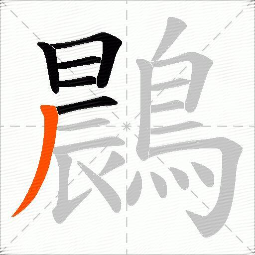 鷐