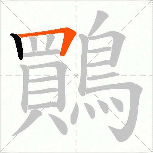 鷶