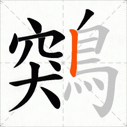 鶟