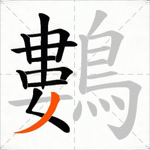 鷜