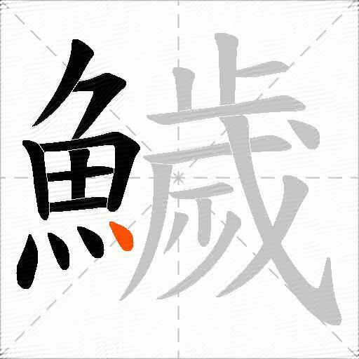 鱥