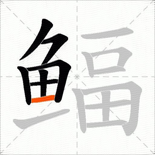 鲾
