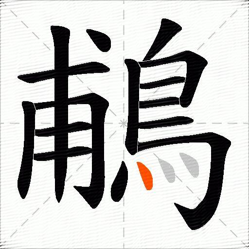 鵏