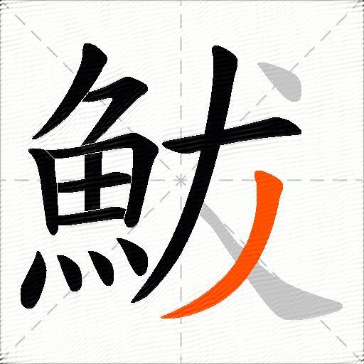 鮁
