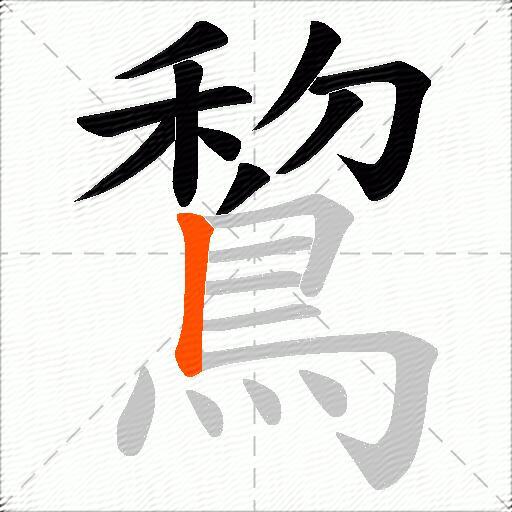鵹