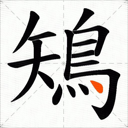 鴙
