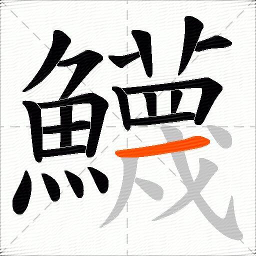 鱴