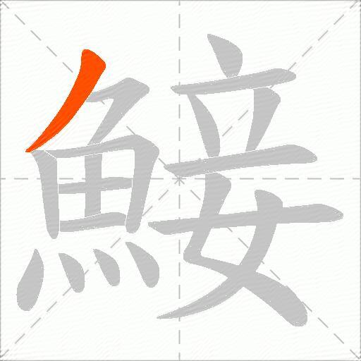 鯜
