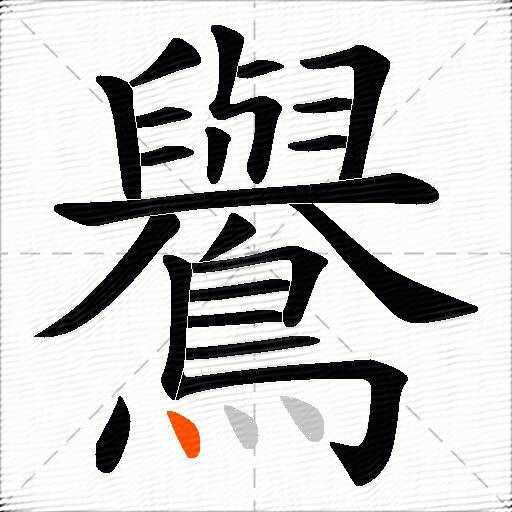 鸒