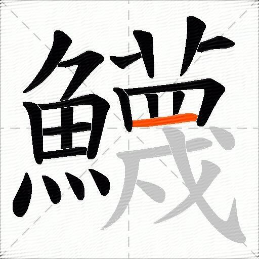 鱴