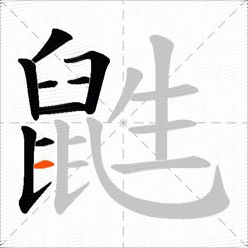 鼪